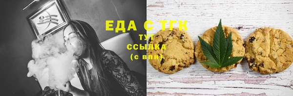 гашик Инсар