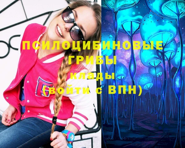 бутират Иннополис