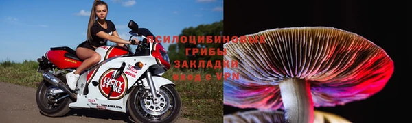 гашик Инсар
