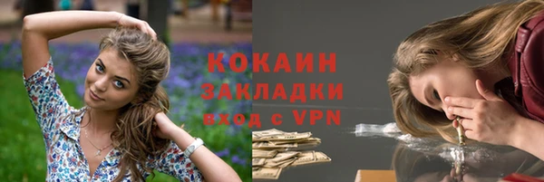 гашик Инсар