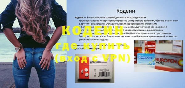 гашик Инсар