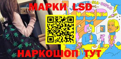 индика Гай