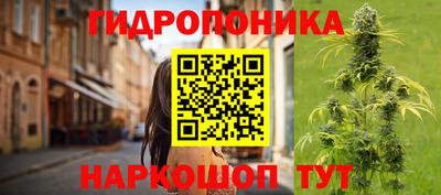 индика Гай