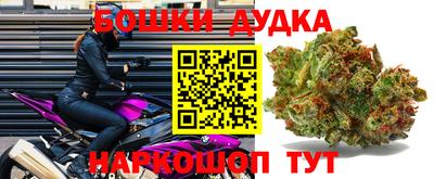 эйфоретик Гатчина