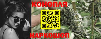 индика Гай