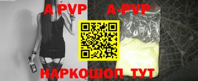индика Гай