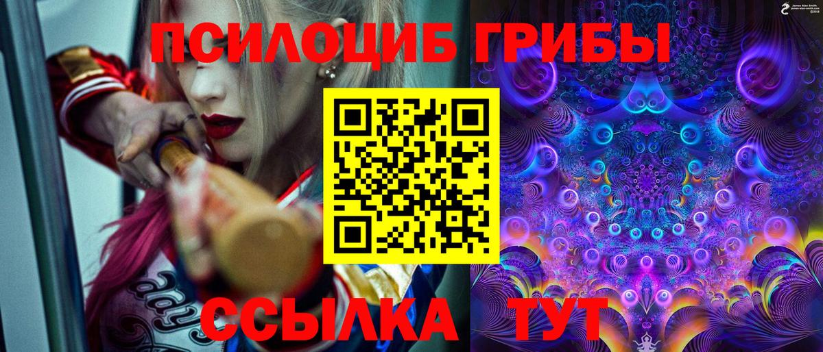 Галлюциногенные грибы GOLDEN TEACHER Кизляр