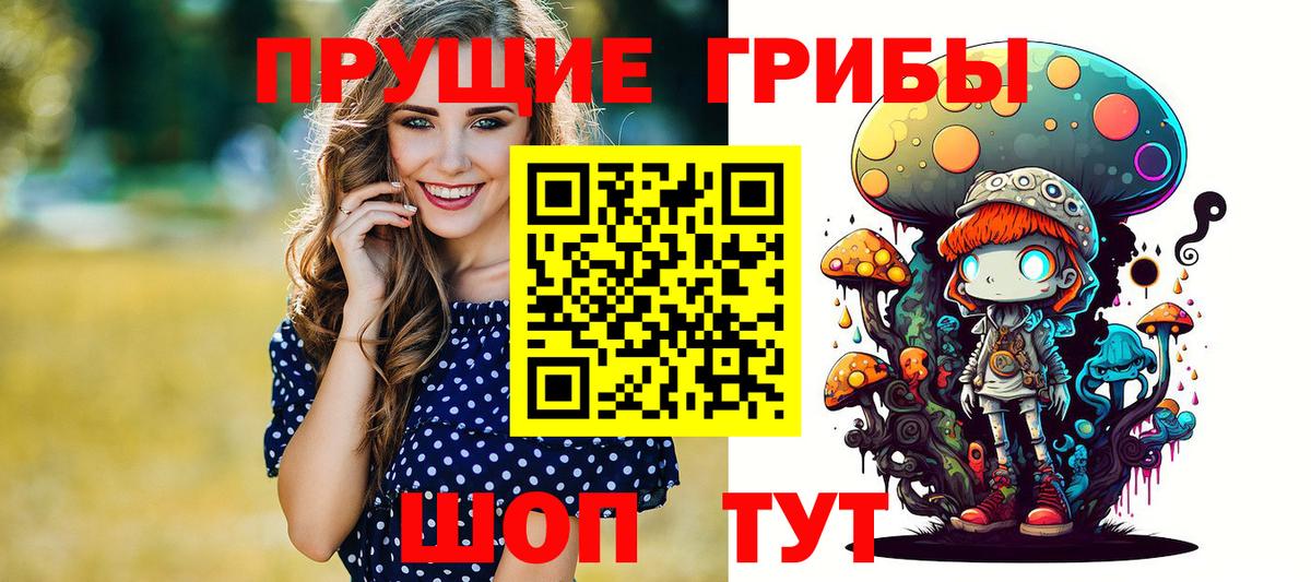 Кизляр  Псилоцибиновые грибы Cubensis  Вход с VPN 